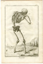 Antique print human for sale  USA