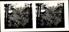 Stereo raumbild foto gebraucht kaufen  Berlin
