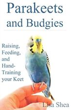 Parakeets budgies raising for sale  USA