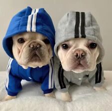 Adidog dog tracksuit for sale  FELTHAM