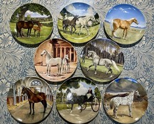 Spode plates noble for sale  BIRMINGHAM