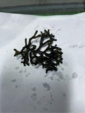 Codium macro algae for sale  NORTHOLT