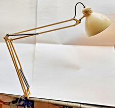 Lampada naska loris usato  Milano