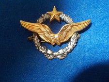 Aviation brevet pilote d'occasion  Pleurtuit