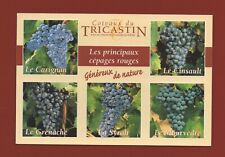 Coteaux tricastin principaux d'occasion  Nogent