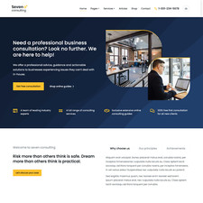 Business consulting website for sale  Elmhurst
