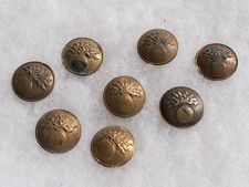 Boutons doré militaire d'occasion  Cossé-le-Vivien