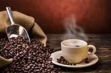 ☕️ CAFÉ ARÁBICA GOURMET - 1KG GRÃOS RECÉM-TORRADOS + FRETE GRÁTIS ☕️ comprar usado  Enviando para Brazil