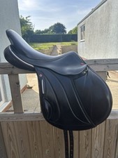 Albion revelation jump for sale  SOUTH PETHERTON
