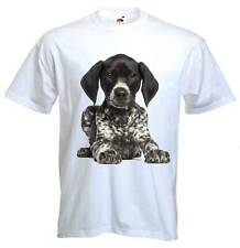 German short haired for sale  LANCASTER