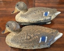 Vintage mallard drake for sale  Mount Washington