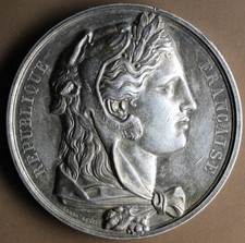 Medaille assemblee nationale d'occasion  Malesherbes