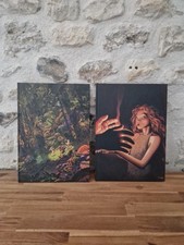 Trolls troy coffret d'occasion  Aubevoye