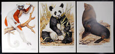 Menu air wwf d'occasion  Argenteuil