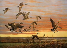 Owen gromme canada for sale  Milwaukee