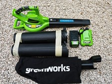 Aspiratore greenworks usato  Viterbo