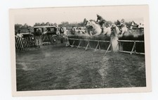 Photo snapshot 1930 d'occasion  Avignon