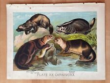 1880 art lithograph for sale  Dublin