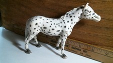 appaloosa mare for sale appaloosa mare for sale Preston