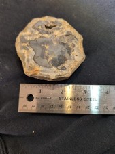 kentucky agate for sale kentucky agate for sale Sumner