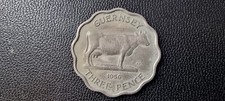 Pence 1956 guernesey d'occasion  Loon-Plage