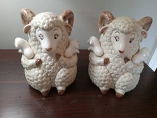 Mama sheep ewe for sale  Winston Salem