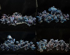 Warhammer 40k chaos for sale  Kailua