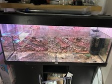 Juwel rio 240 for sale  TODMORDEN