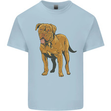 French mastiff dogue for sale  COVENTRY