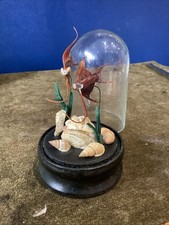 Victorian style chinese for sale  CLECKHEATON