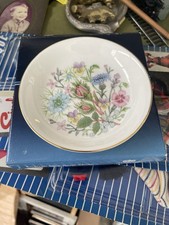 Ainsley wild tudor for sale  MANCHESTER