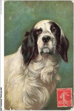 Akvp9 0658 chien d'occasion  France