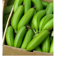 Fresh matoke green for sale  CROYDON