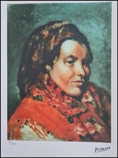 Pablo picasso the gebraucht kaufen  Mönchengladbach