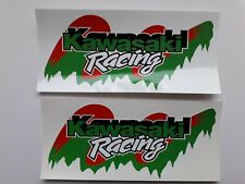 Kawasaki racing stickers for sale  STOCKPORT