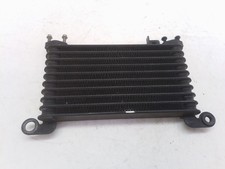 Triumph speed triple usato  Chignolo Po