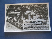 Postcard abbot hall for sale  MABLETHORPE