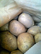 Cornish potatoes also for sale  CAMBORNE