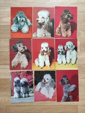 Set lot alten gebraucht kaufen  Borna