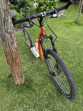 Verkaufe einen dog gebraucht kaufen  Teltow