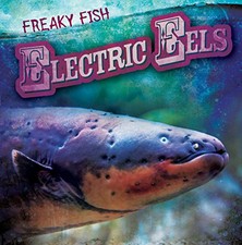 Electric eels theresa for sale  USA