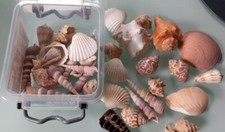 badezimmer deko maritim gebraucht kaufen badezimmer deko maritim gebraucht kaufen Wiesbaden