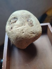 Native american frog for sale  Eunice