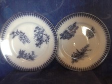 Jolie paire assiettes d'occasion  Éperlecques