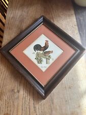 Brown leghorn rooster for sale  Los Angeles