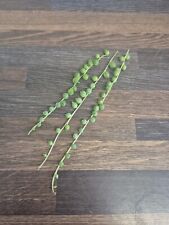 String pearls 12cm for sale  LONDON