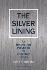 Silver lining innovation for sale  Montgomery