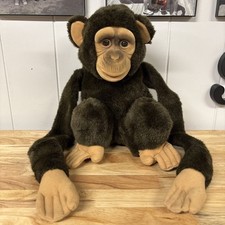 Hosung chimp monkey for sale  Geneseo