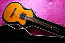 Epiphone chet atkins for sale  Berkley