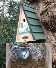 Bird nest box for sale  ROMSEY